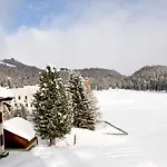 Cosy Facing Piz Rosatsch