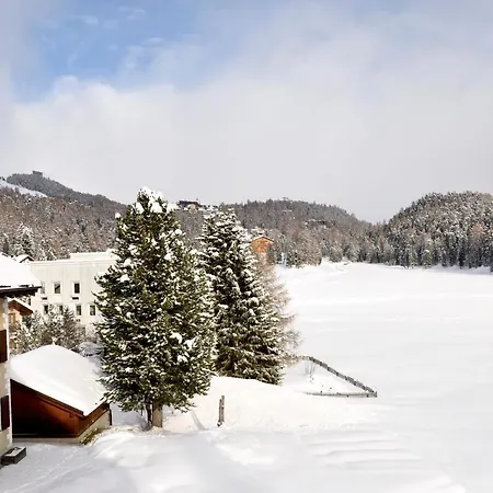 Cosy Facing Piz Rosatsch With Efireplace, Pool & Sauna