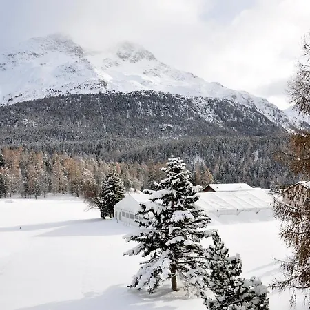 Daire Cosy Facing Piz Rosatsch With Efireplace, Pool & Sauna Saint-Moritz