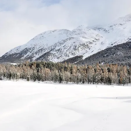 Cosy Facing Piz Rosatsch *